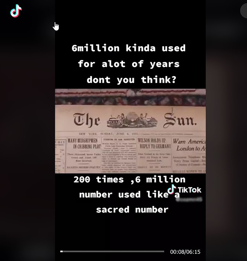 Example of holocaust denial content on TikTok