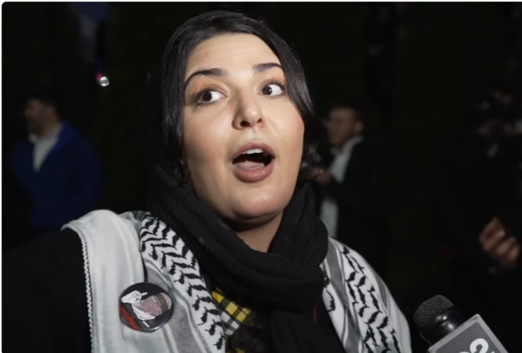 Nerdeen Kiswani and Within Our Lifetime-United for Palestine: What You Need to Know