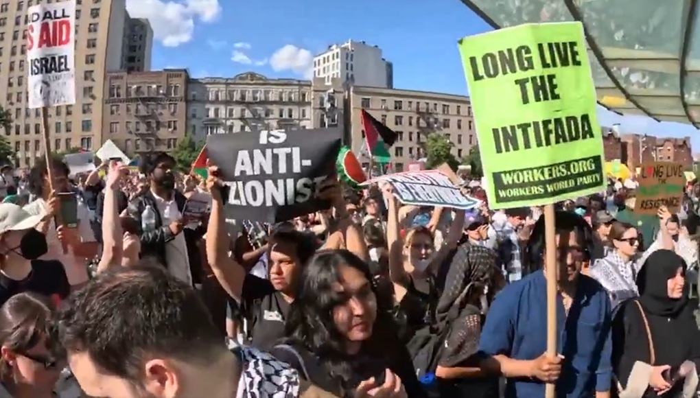 WOL protest at Brooklyn Museum May 2024