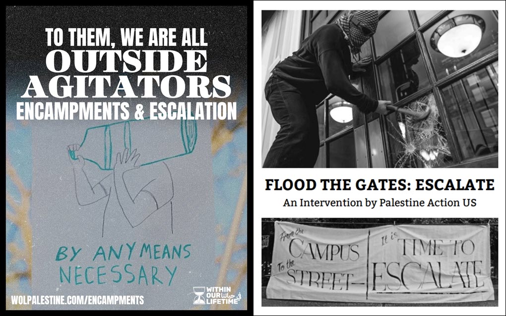 Zines published in April by Within Our Lifetime (left) and in May by Palestine Action U.S. (right) encouraging anti-Israel activists to “escalate” their actions