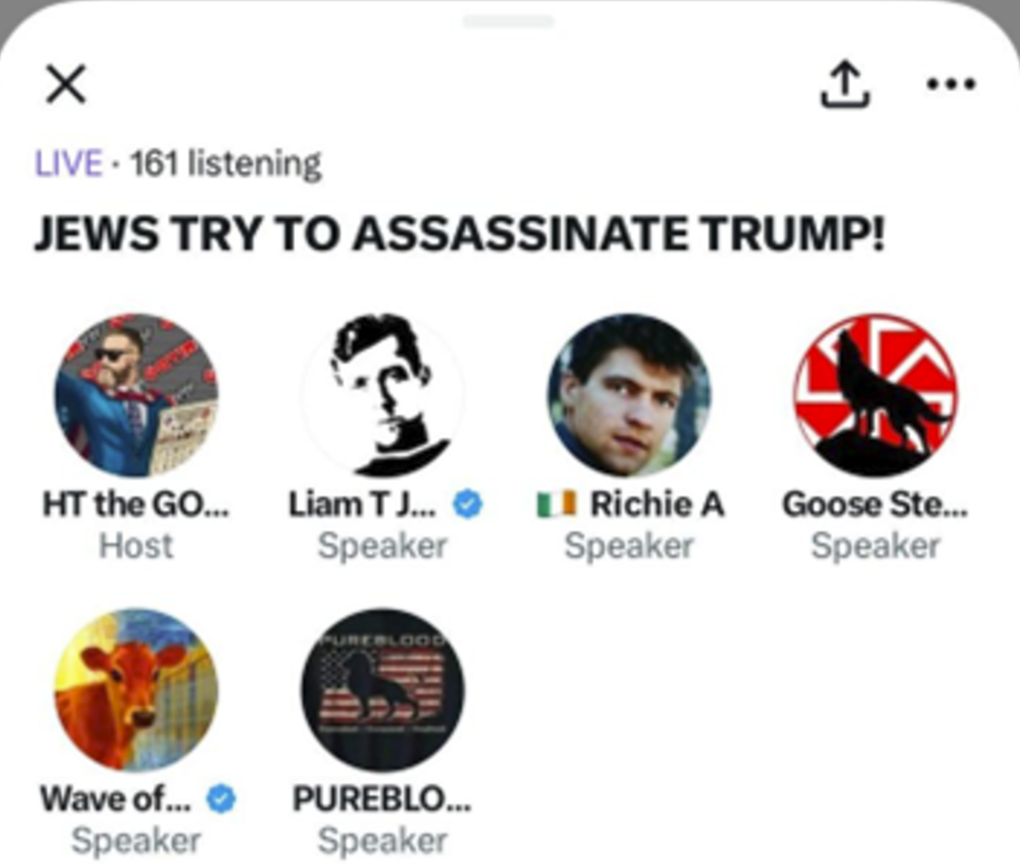 An X space hosted by Goyim Defense League (GDL) leader, Jon Minadeo, titled "Jews Try To Assassinate Trump." (Source: X)