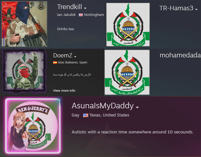 Examples of profile avatars with containing Hamas emblems.