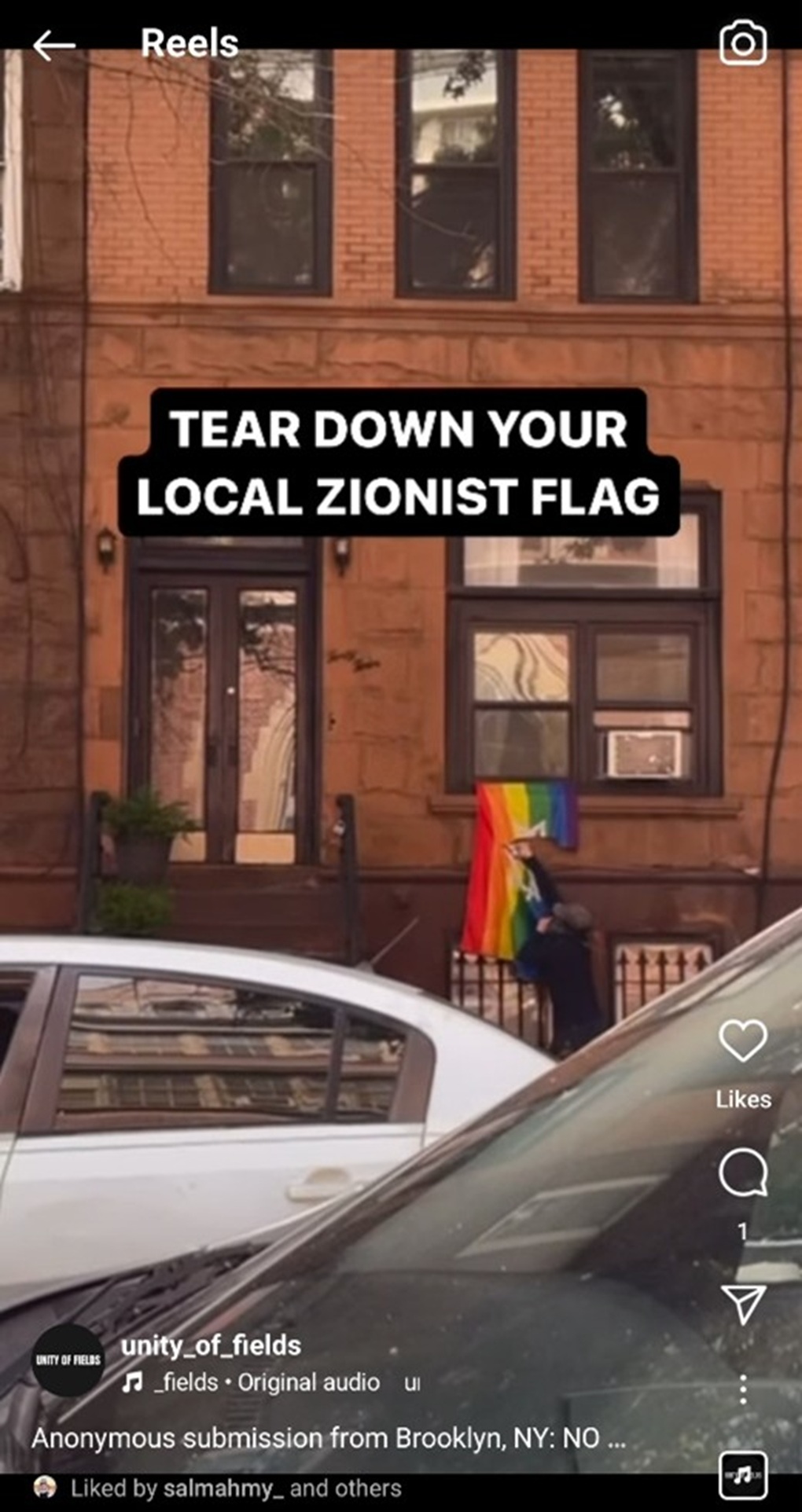 Unity of Fields posts a reel on Instagram in September 2024 showing vandals in Brooklyn, New York, pulling down an LGBTQ flag with a Star of David.