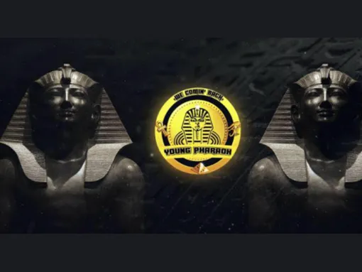 Young Pharoah cover photo